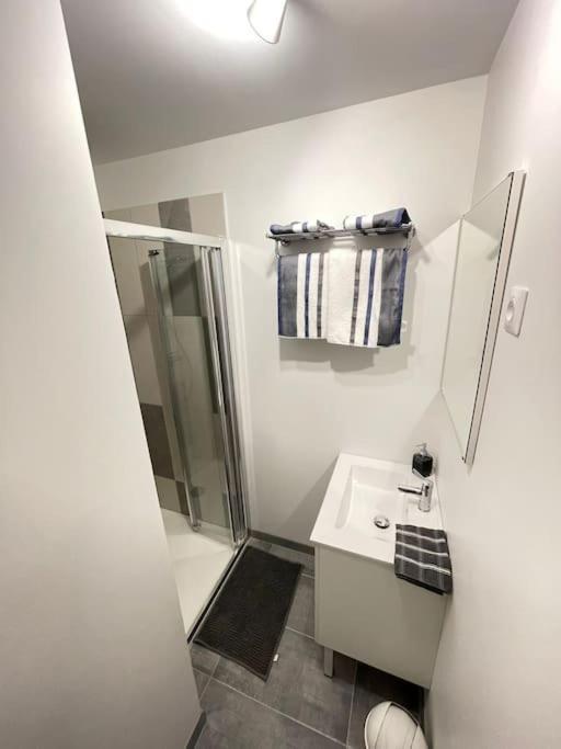 La Maisonnette Saint-Quentinoise Bagian luar foto
